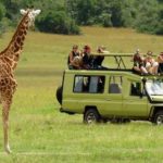 Top Tours to Add to Your Bucket List for Your Next Vacation