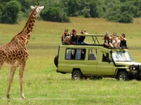 Top Tours to Add to Your Bucket List for Your Next Vacation