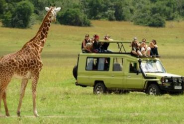 Top Tours to Add to Your Bucket List for Your Next Vacation