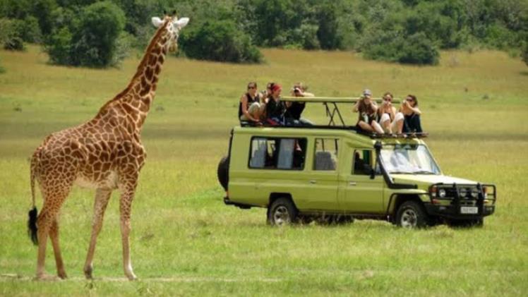 Top Tours to Add to Your Bucket List for Your Next Vacation